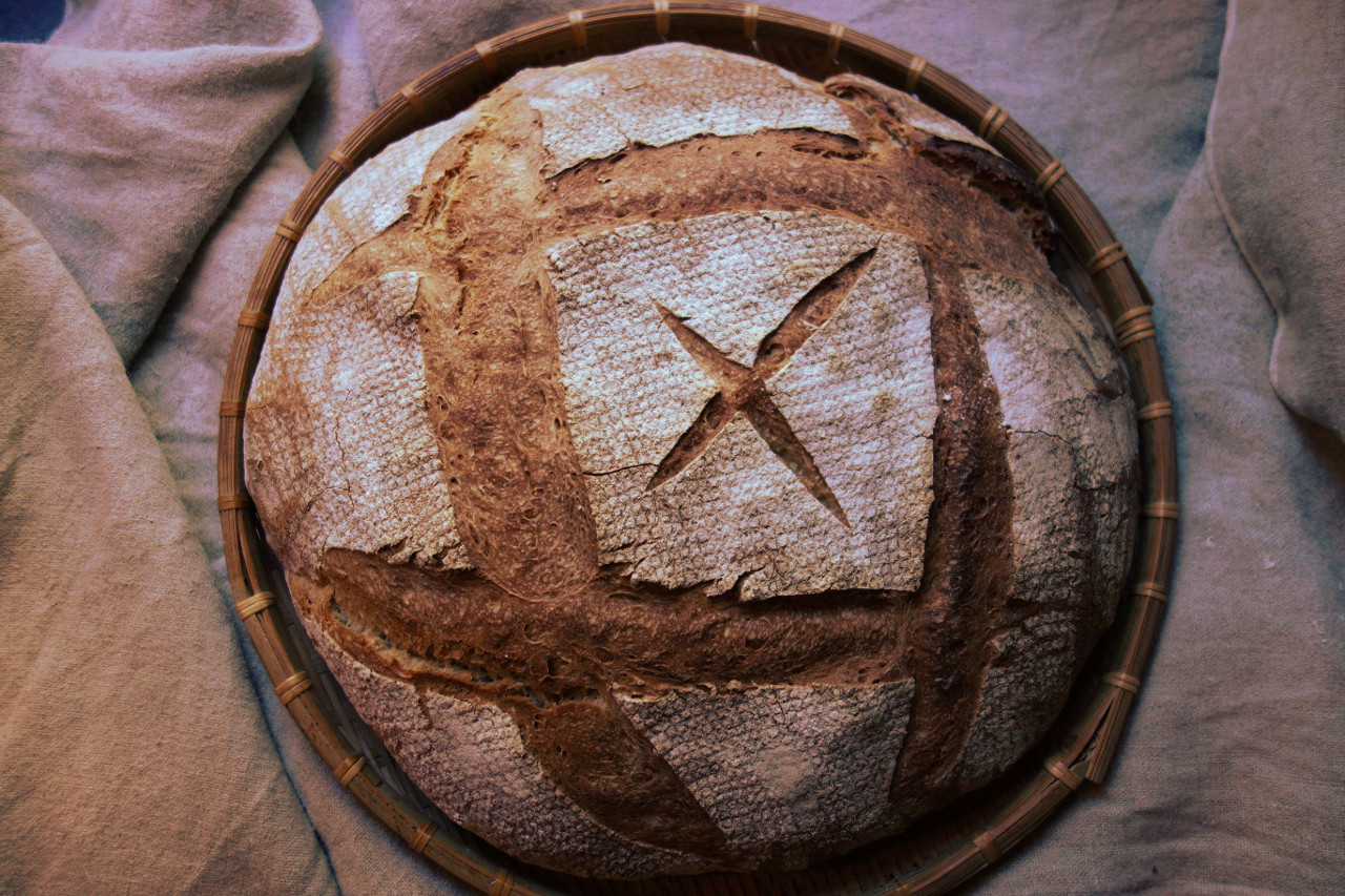 BOLAND COUCHOUD Marie - boulangerie artisanale, Lacépède - photo 6