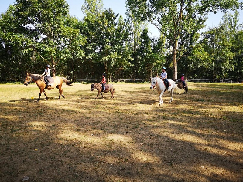 Ranch et Ferme du Saut du Loup