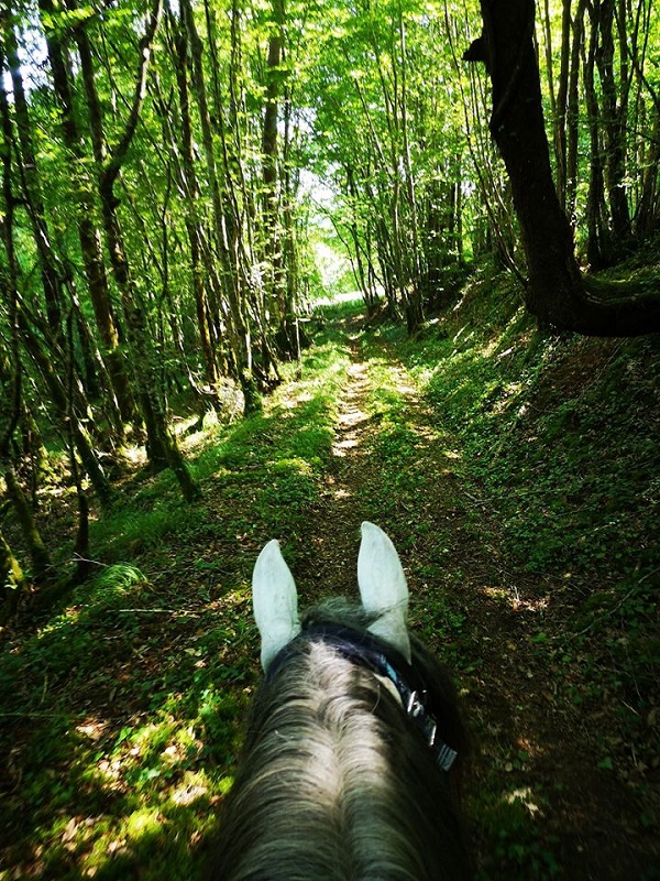 Ranch et Ferme du Saut du Loup