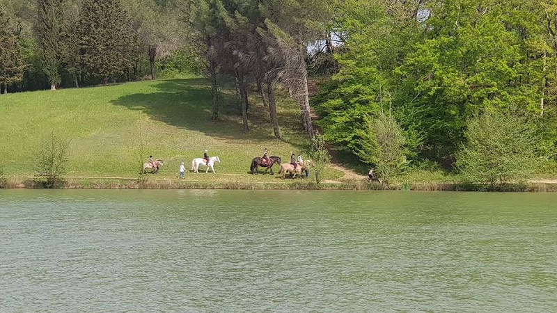 Ranch et Ferme du Saut du Loup