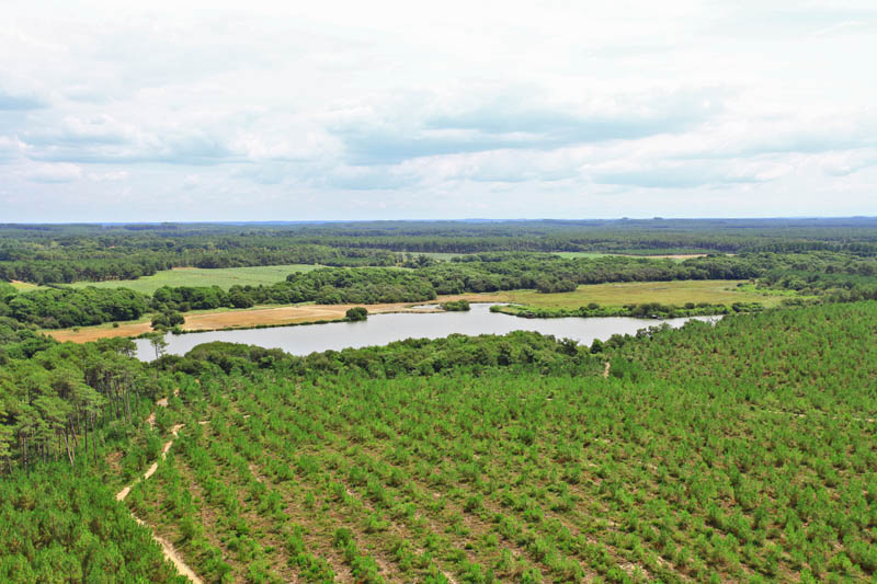 A la découverte de l'Adour Perdu, étang de Moïsan
