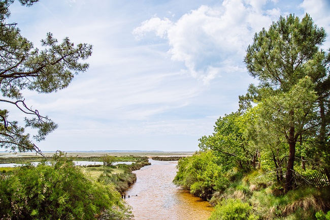 nature -st brice - arès - bassin arcachon