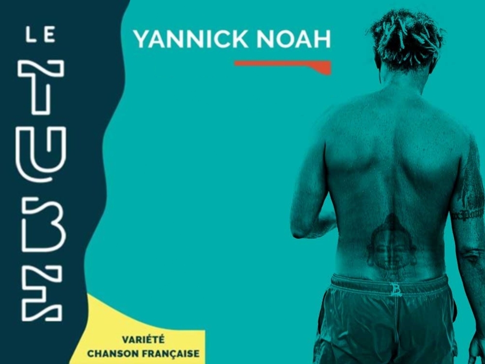 Concert Yannick Noah Concert Yannick Noah