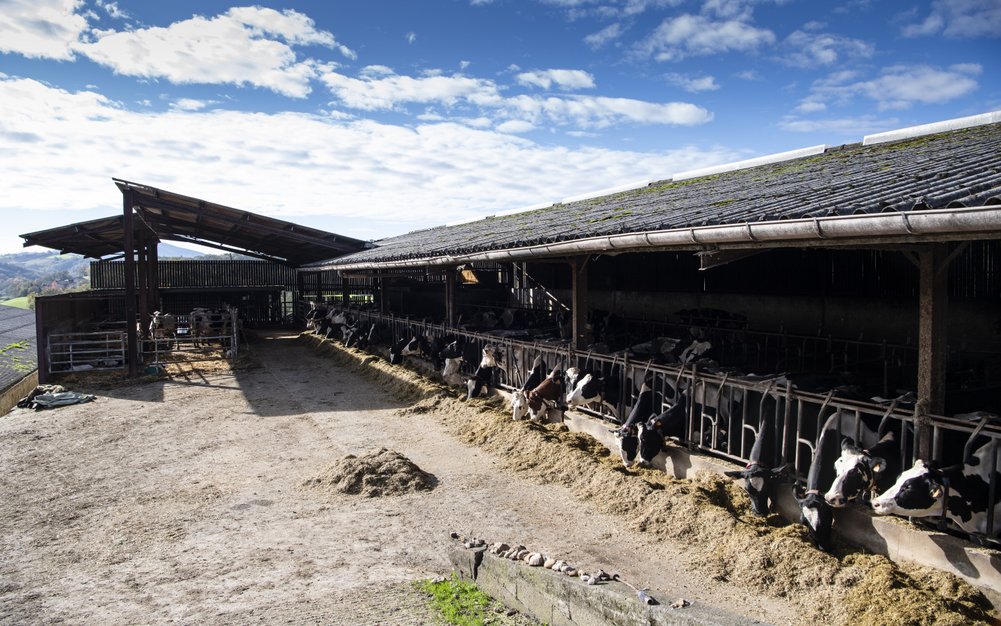 On va bien s' Marais ! - ferme pédagogique