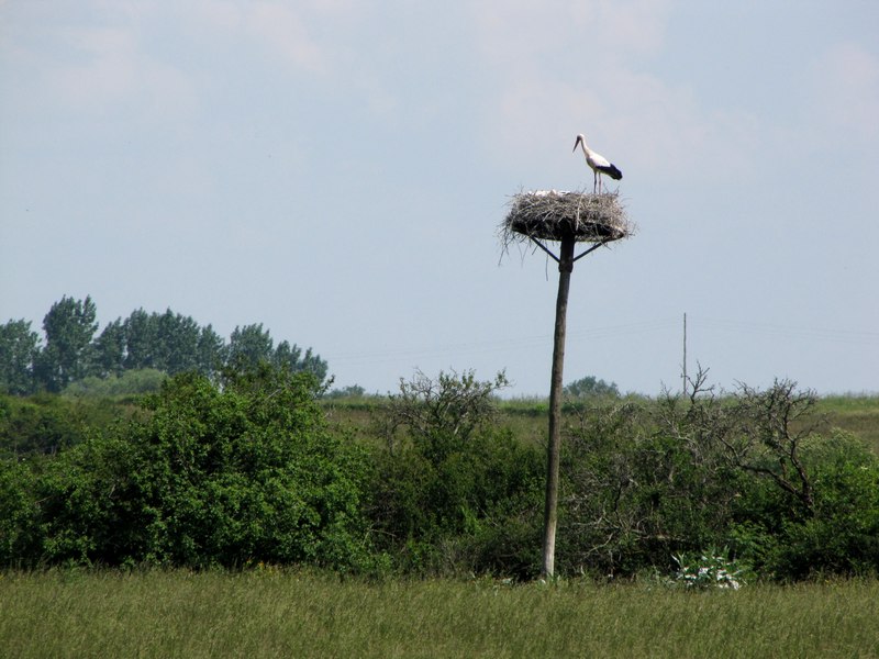 Marais de la Maréchale