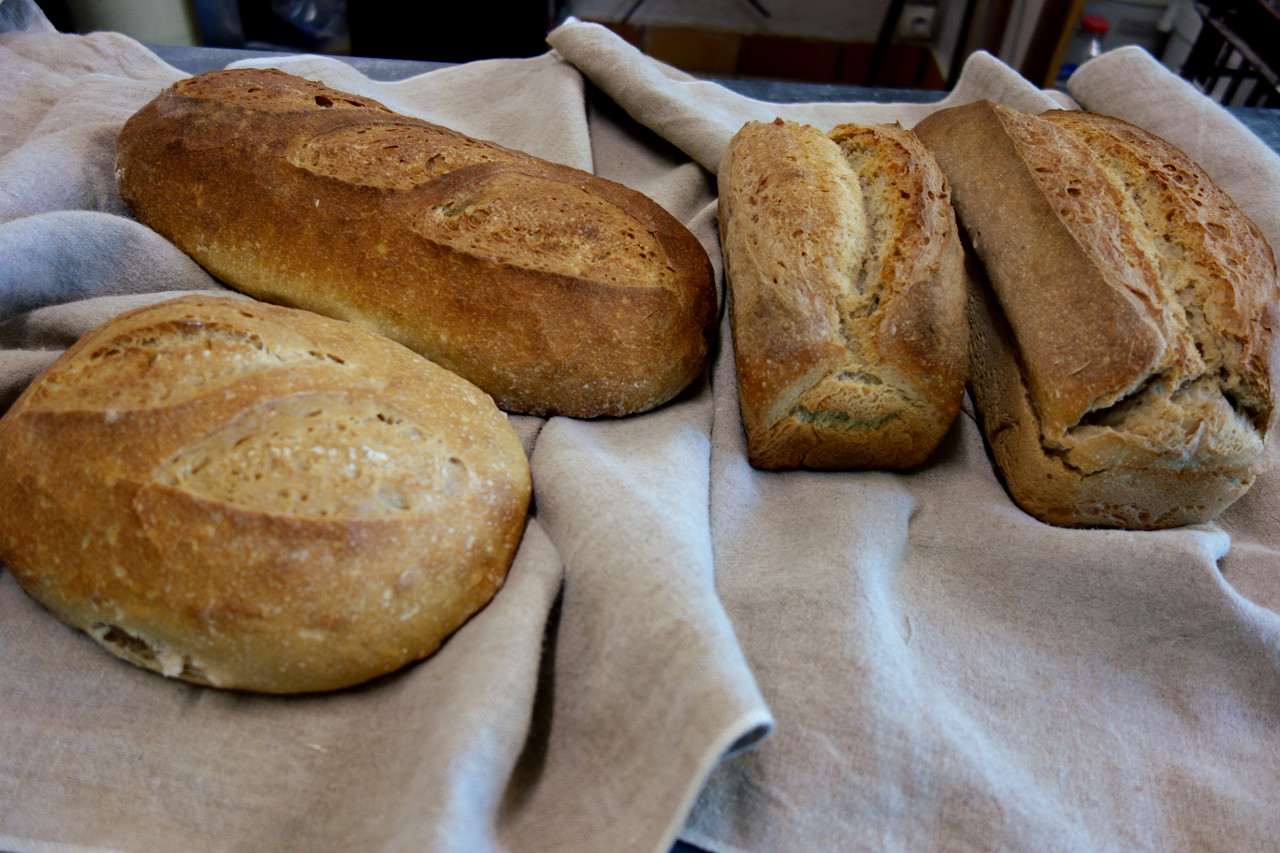 BOLAND COUCHOUD Marie - boulangerie artisanale, Lacépède - photo 7