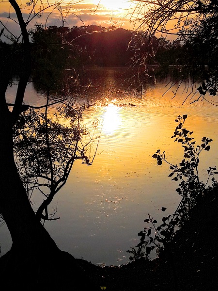 Parc Naturel de Passeligne