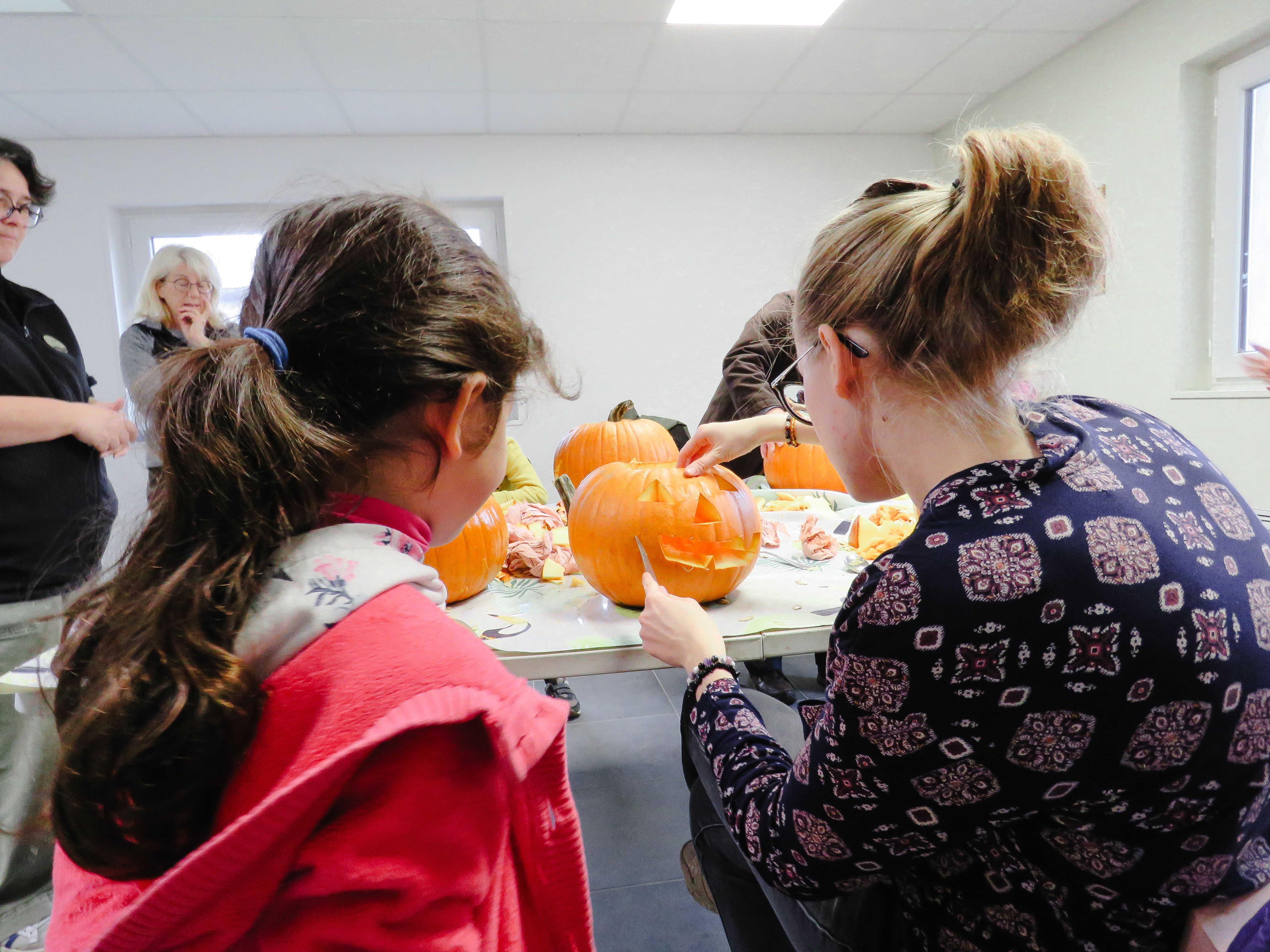 Les Ateliers enfants : Creuse ta citrouille en collaboration avec l'EARL de la Nouère