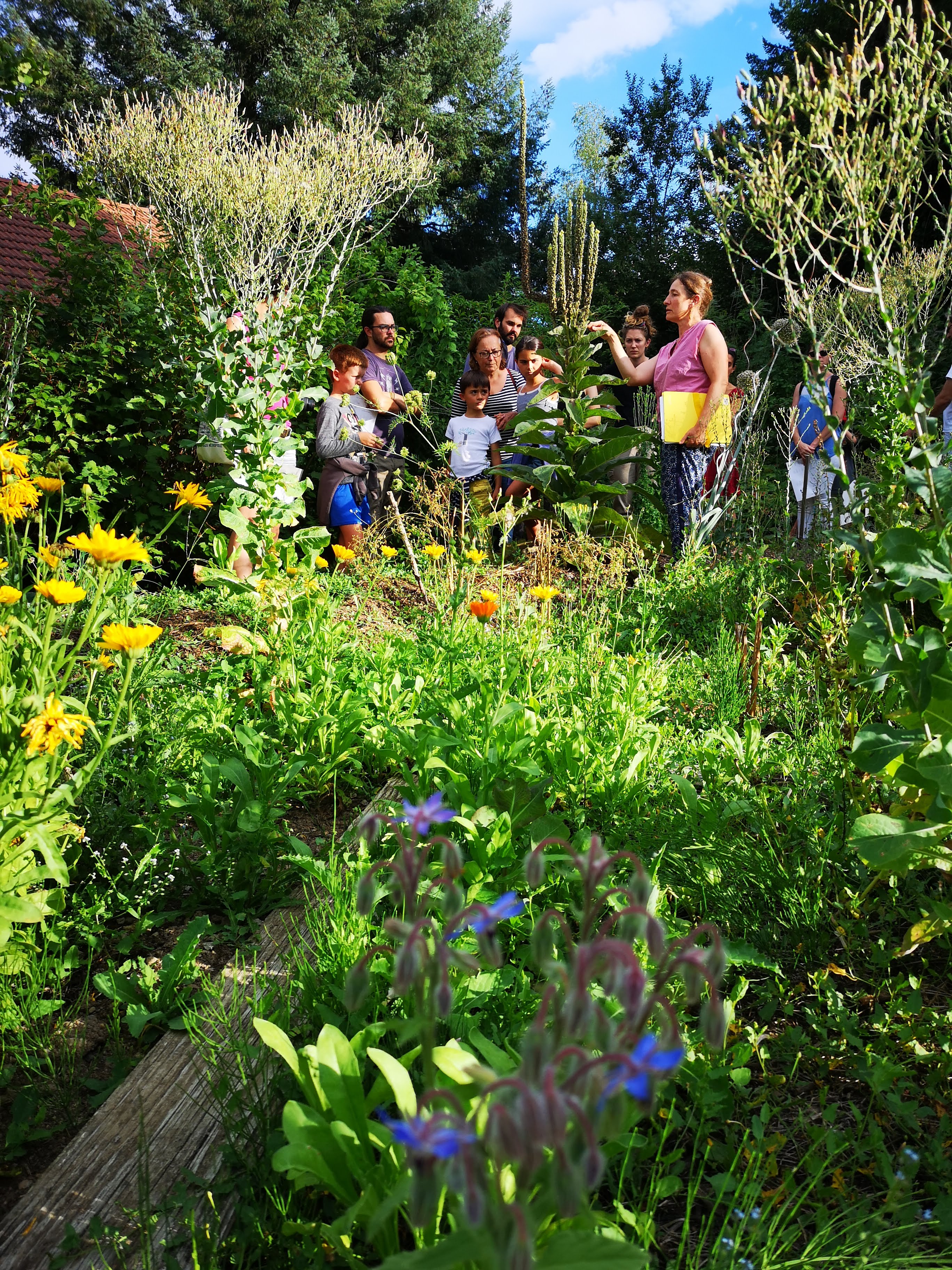 Les héros de l’ombre ! Moustiques, mouches et papillons…