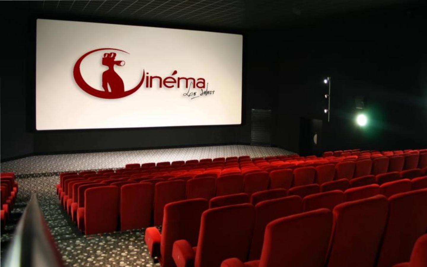 Cinéma Le Sélect