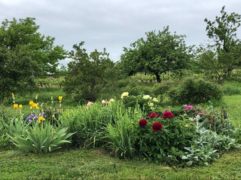 Parc botanique du bourg Joly