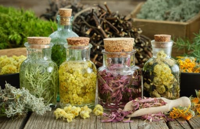 Fleurs de Gaïa la Ferme Carrasonne