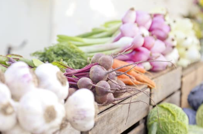 La Ferme aux légumes de Jérémy