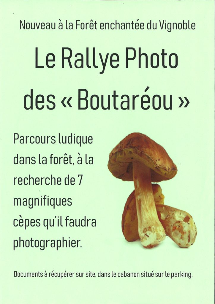 La Forêt du Vignoble