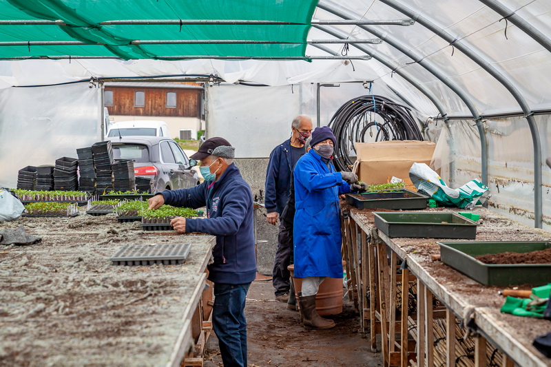 Association Jardins de Tomates
