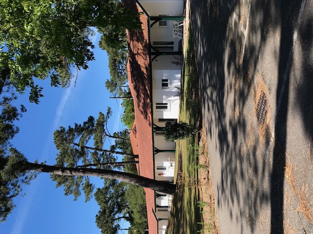 Les Pastourelles - photo 4