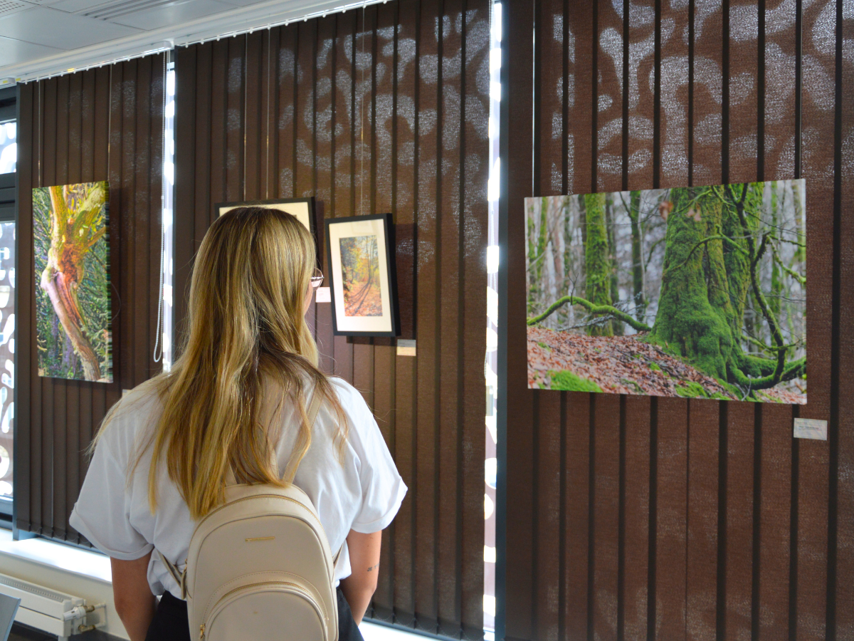 Exposition - Nos villages en images, notre territoire en lumière