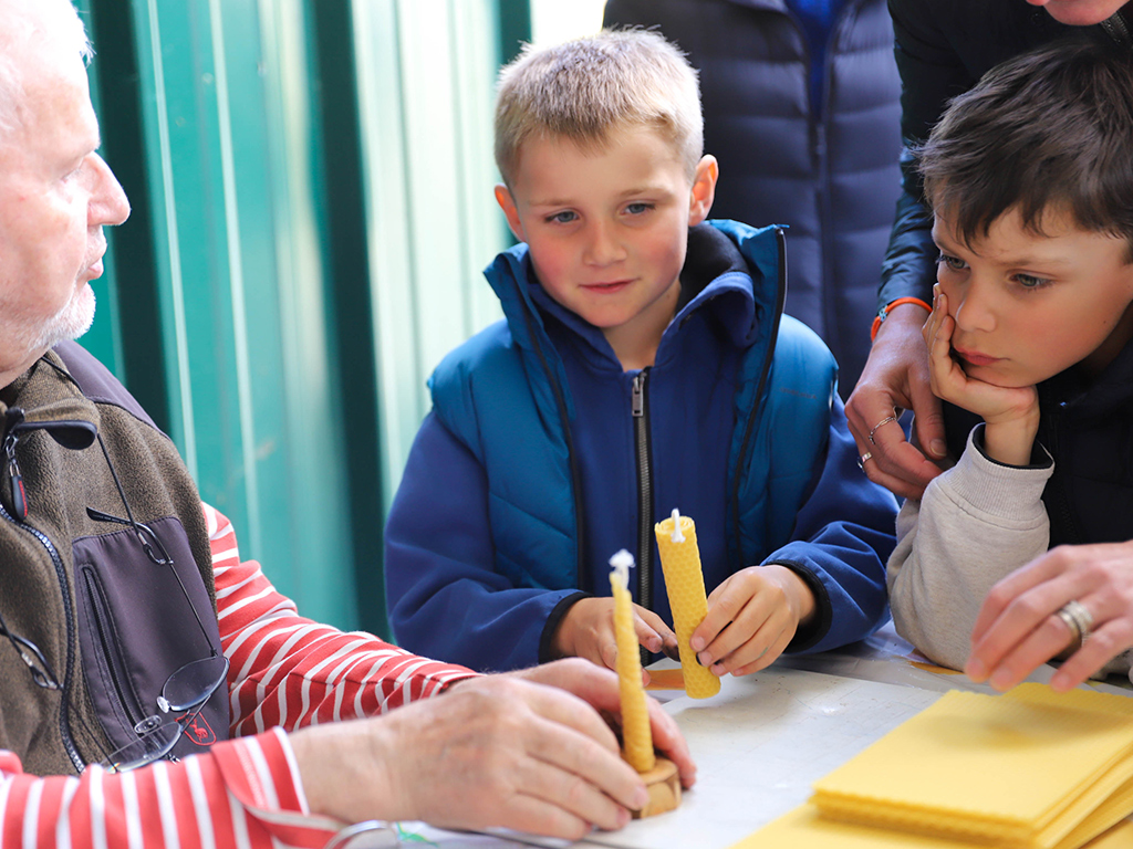 Visite d'un rucher et sa miellerie
