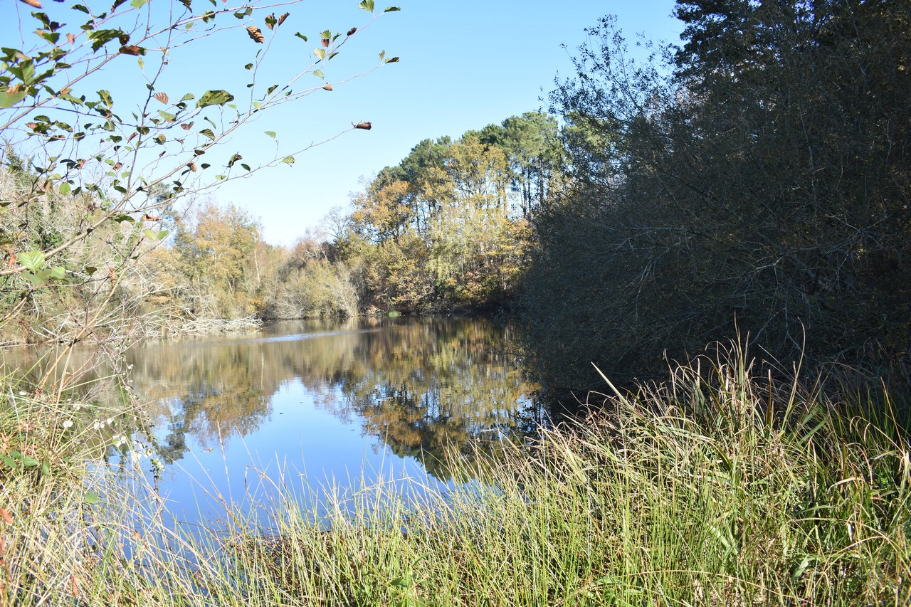 Site de Sabaille