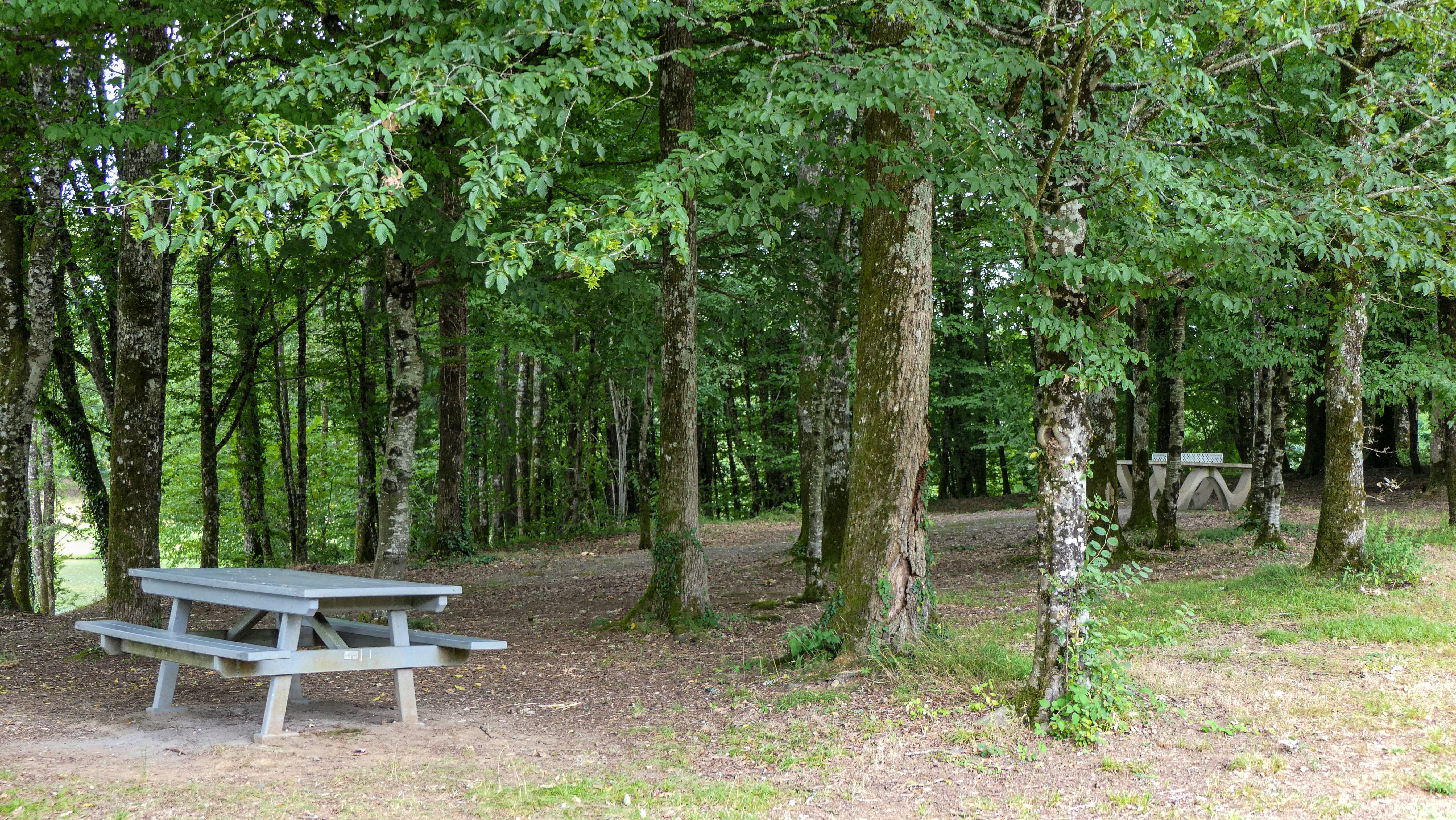 Aire de pique-nique de Saillat-sur-Vienne
