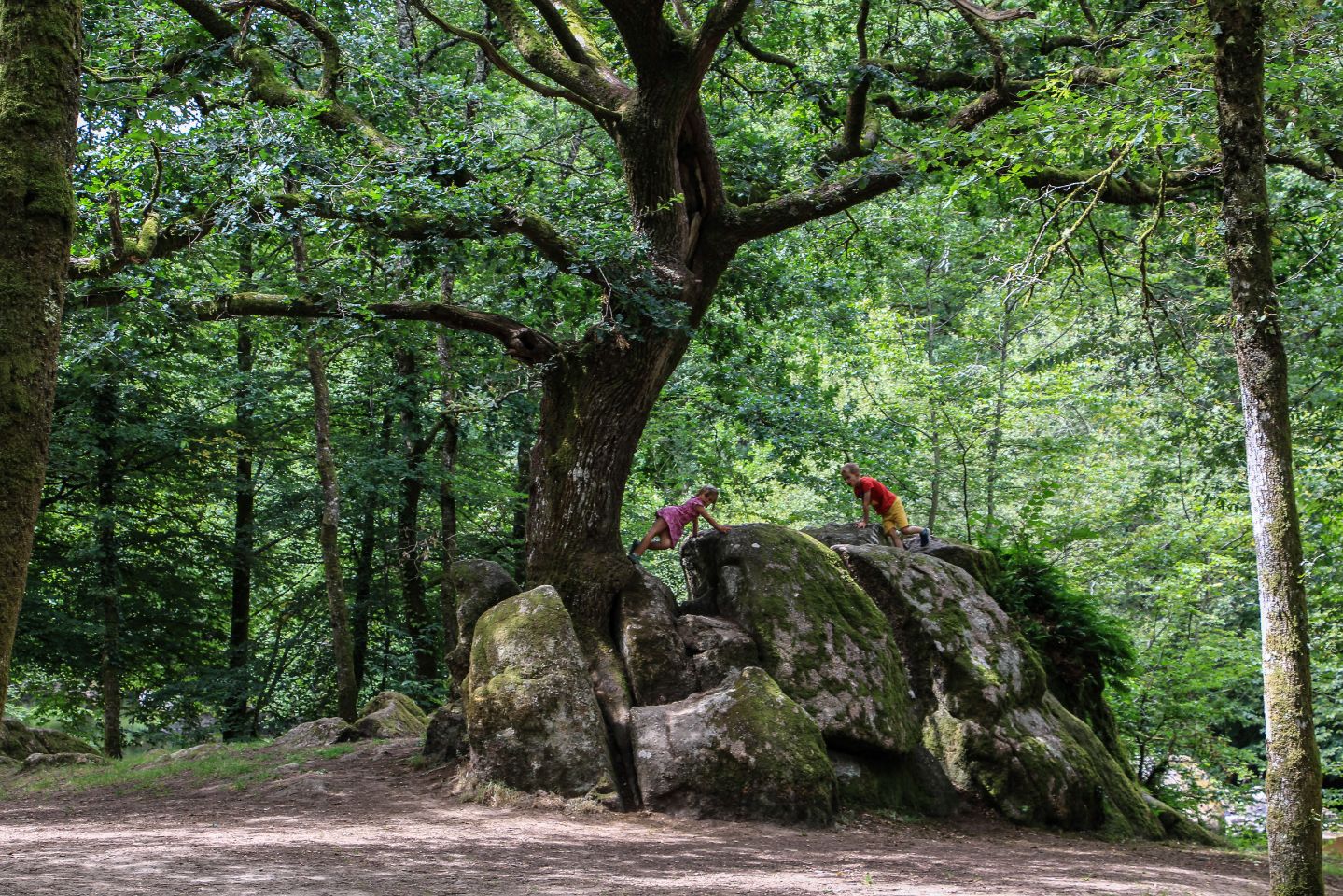 Site Corot