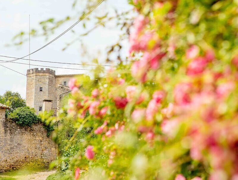saint-macaire-sud-gironde-agence-les-conteurs-52(1)