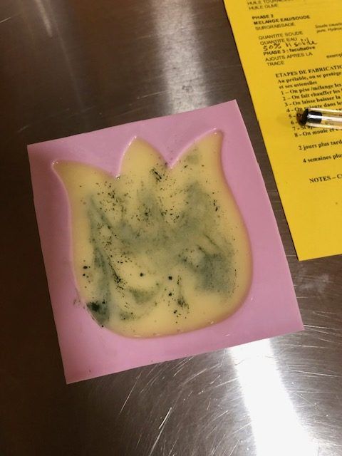 Visite et Atelier : Découvrez les plantes médicinales et fabriquez votre savon