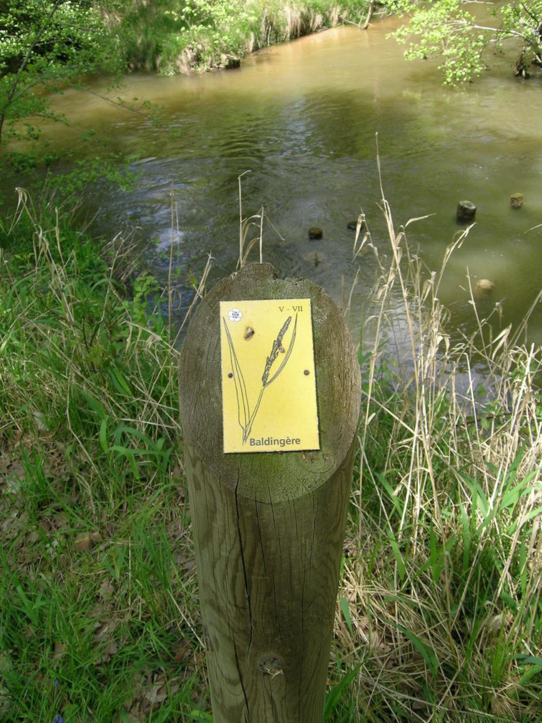 Sentier botanique