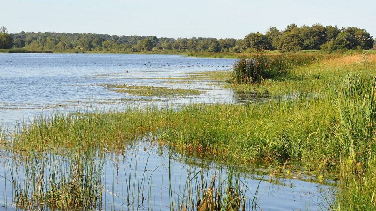 Espace Naturel Sensible Etang de Beaurepaire