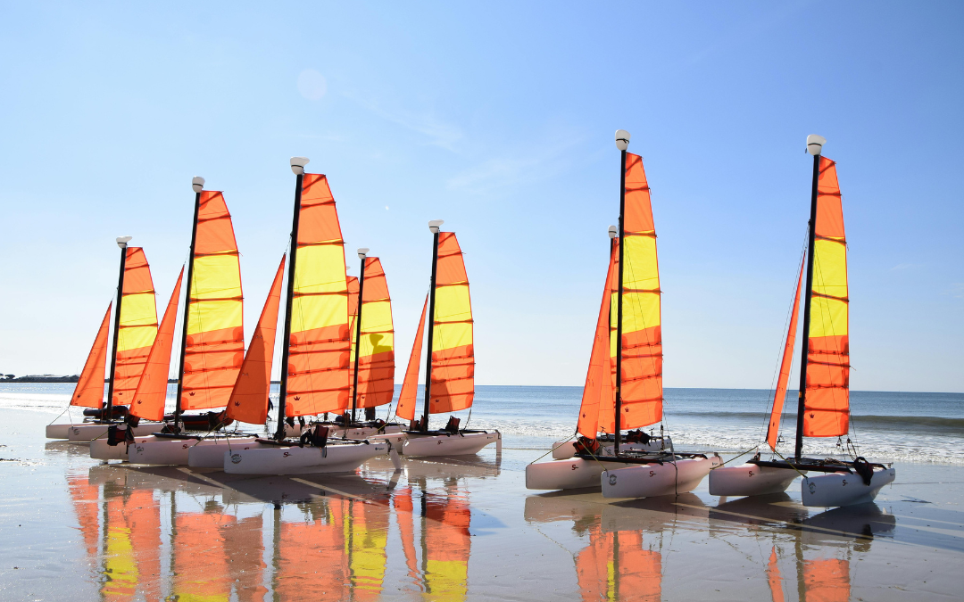 Stage catamaran