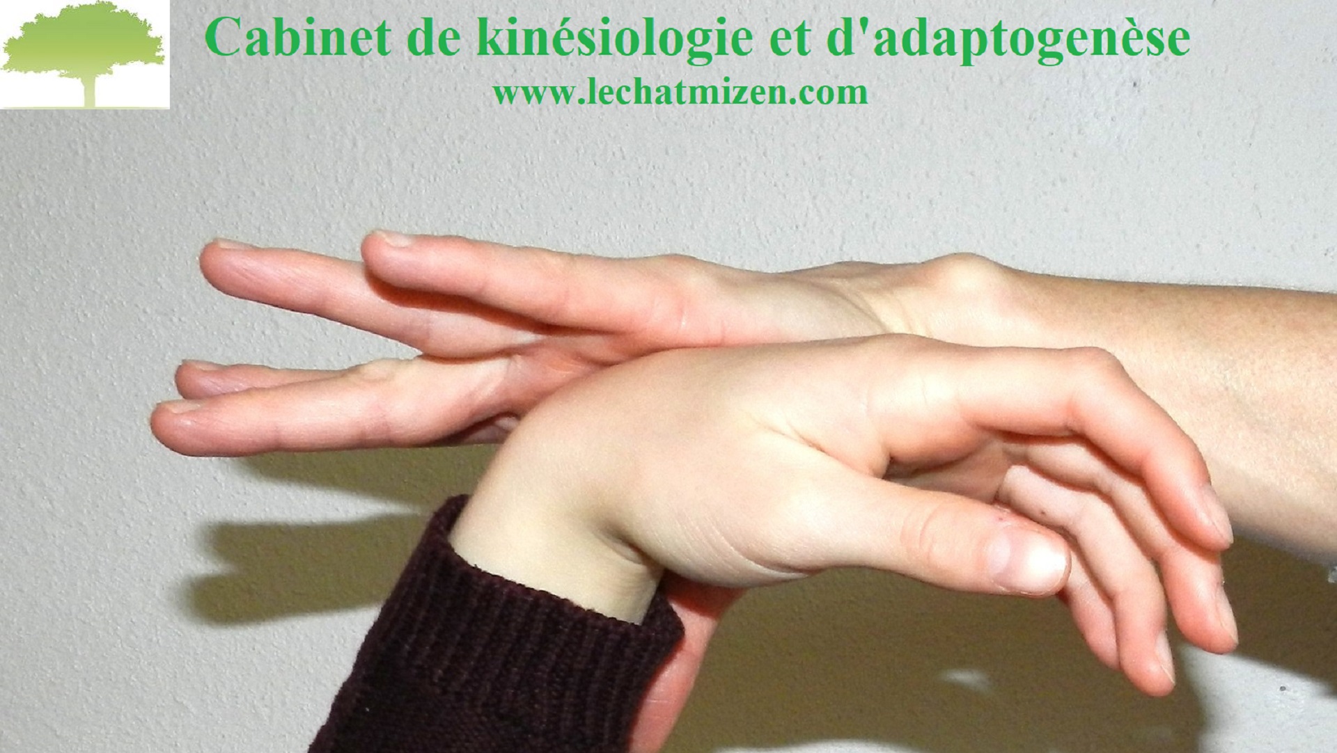 Le Cabinet de Kinesiologie Le Chat Mi-Zen