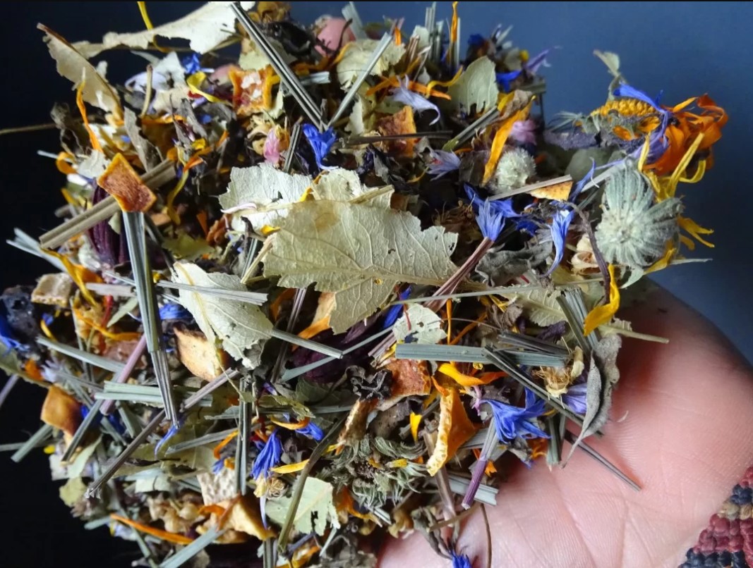 tisane christmas ©Elea Marchand