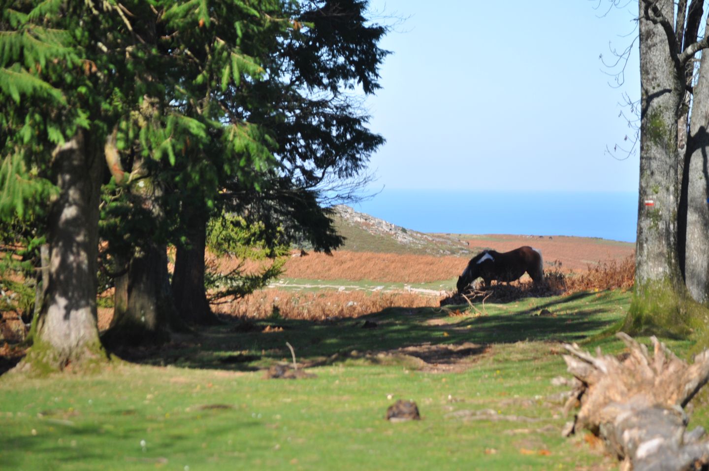 Montagne de La Rhune