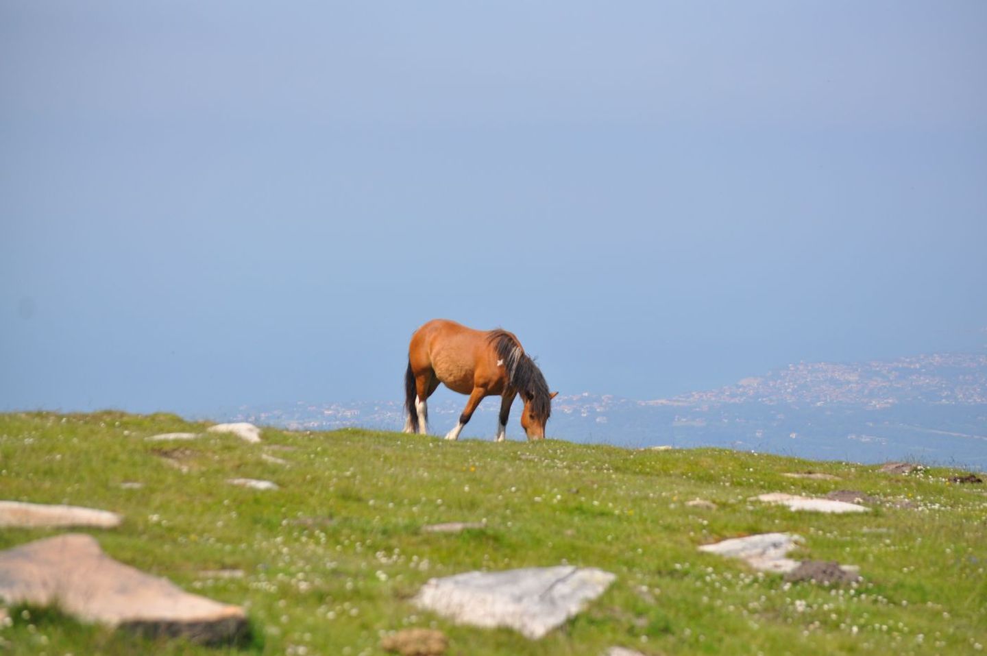 Montagne de La Rhune