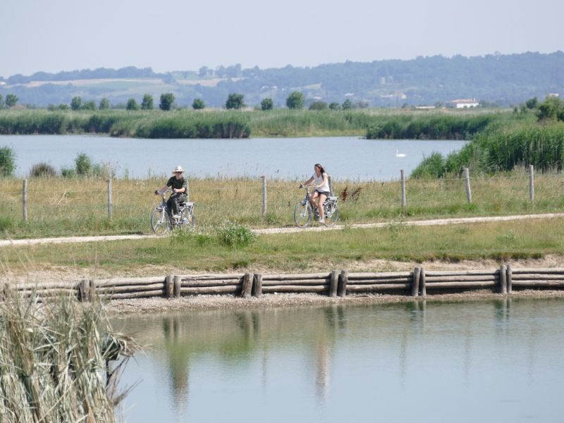 vitrezay vélos196 CDCHS V.Sabadel
