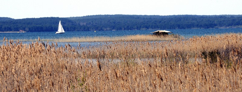 vue marais lac nord